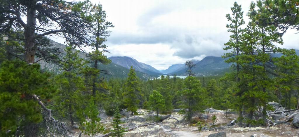 Mountains and trees on the Chilkoot Trail
