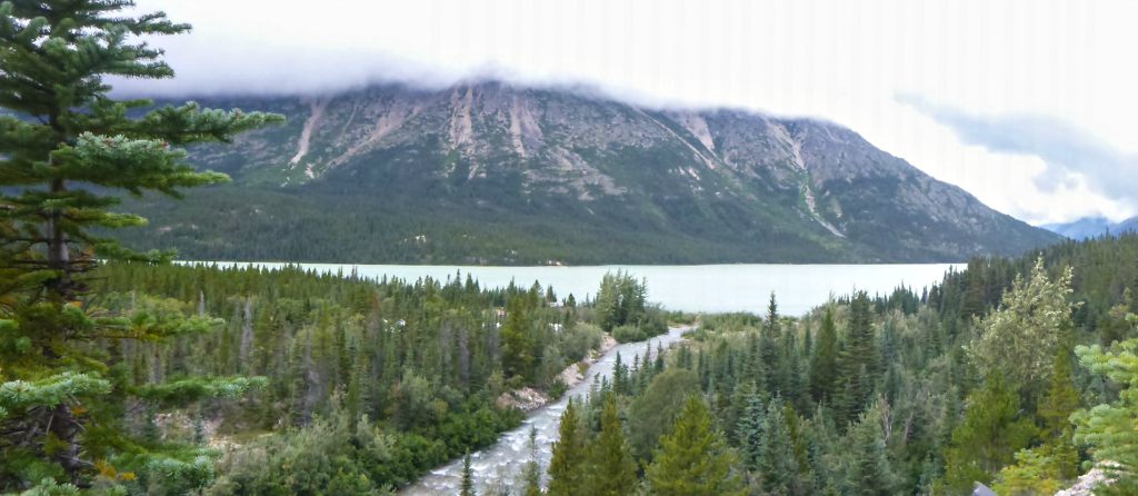 Mountains and trees on the Chilkoot Trail