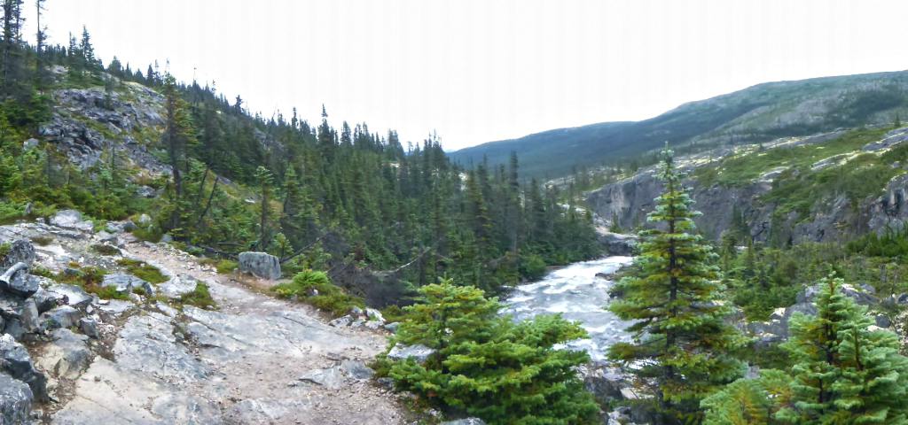 Mountains and trees on the Chilkoot Trail