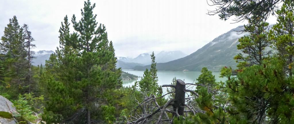 Overlooking a lake along the Chilkoot Trail