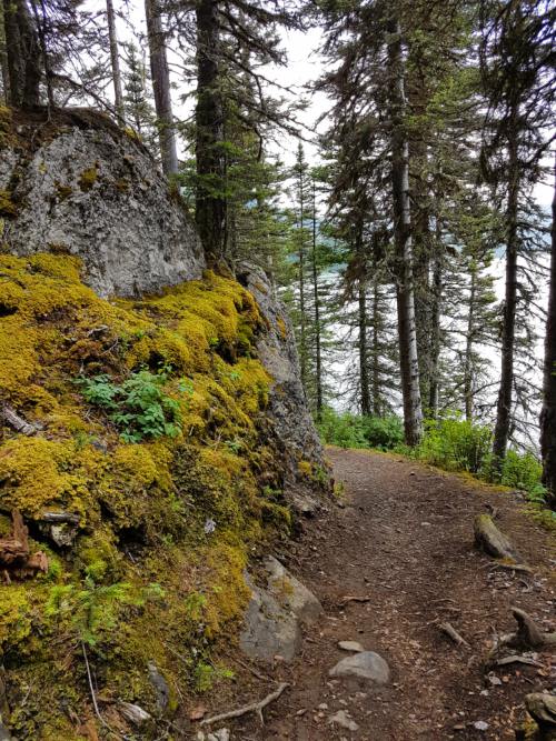 Rocky outcrop on a trail