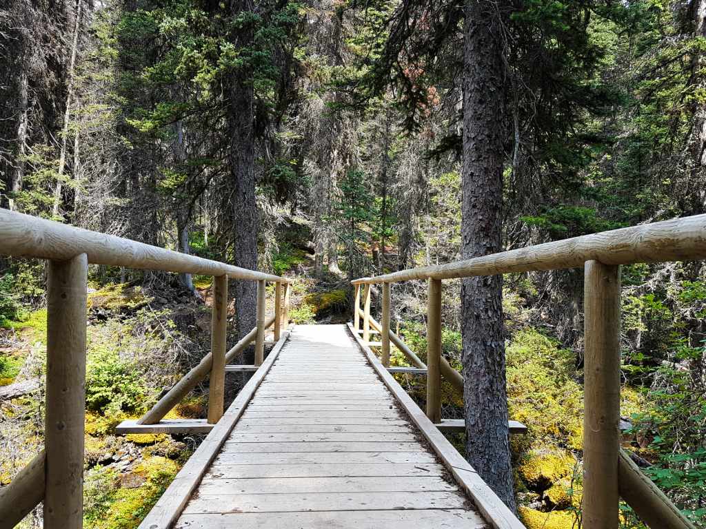 A wooden bridge