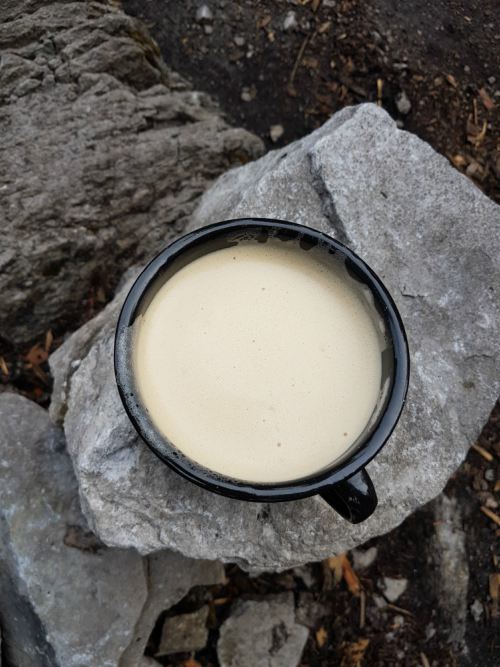 A cup of coffee sits on a rock