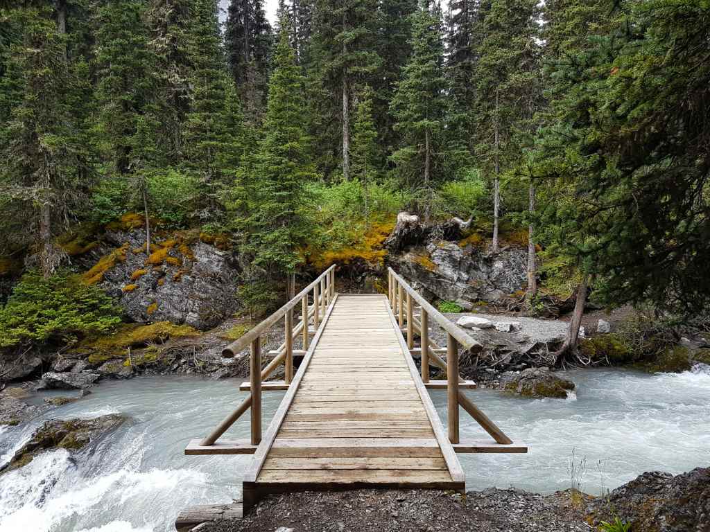 A wooden bridge spans a river