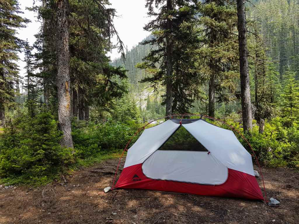 A tent sits in the forest