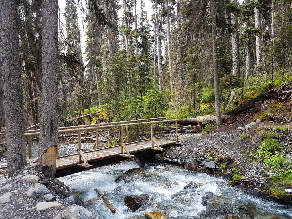A wooden bridge spans a river in a forest