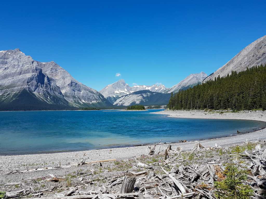 A lake with mountains in the background