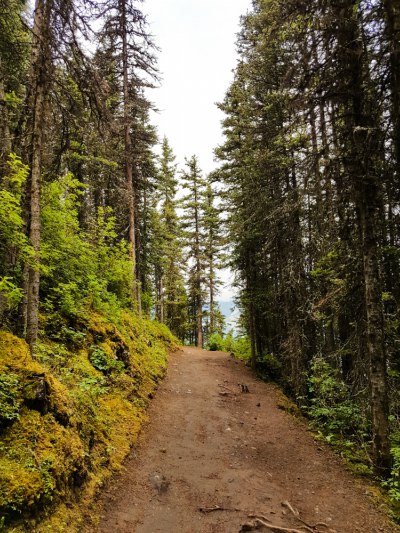 Hiking the Upper Kananaskis Lake Loop Trail