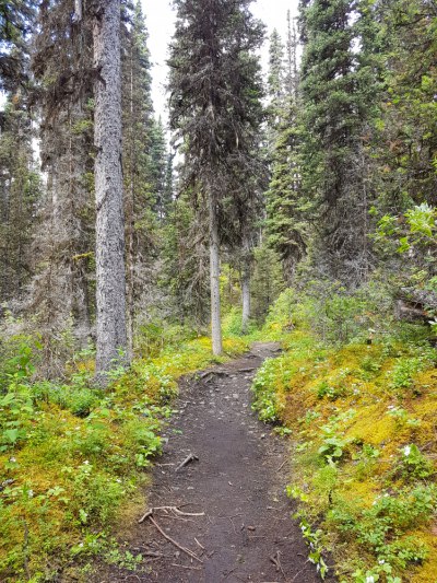 Kananaskis Country hiking trail