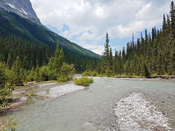 Kananaskis River