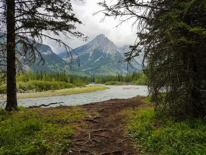 A mountain and river are visible though a clearing in a forest