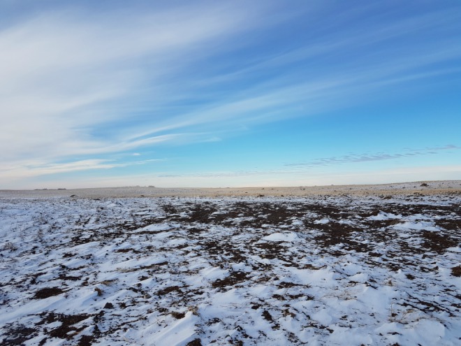 A blue sky backs a snow-covered field