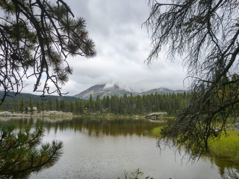 PULLING ME BACK IN – DAY 4 ON THE CHILKOOT TRAIL