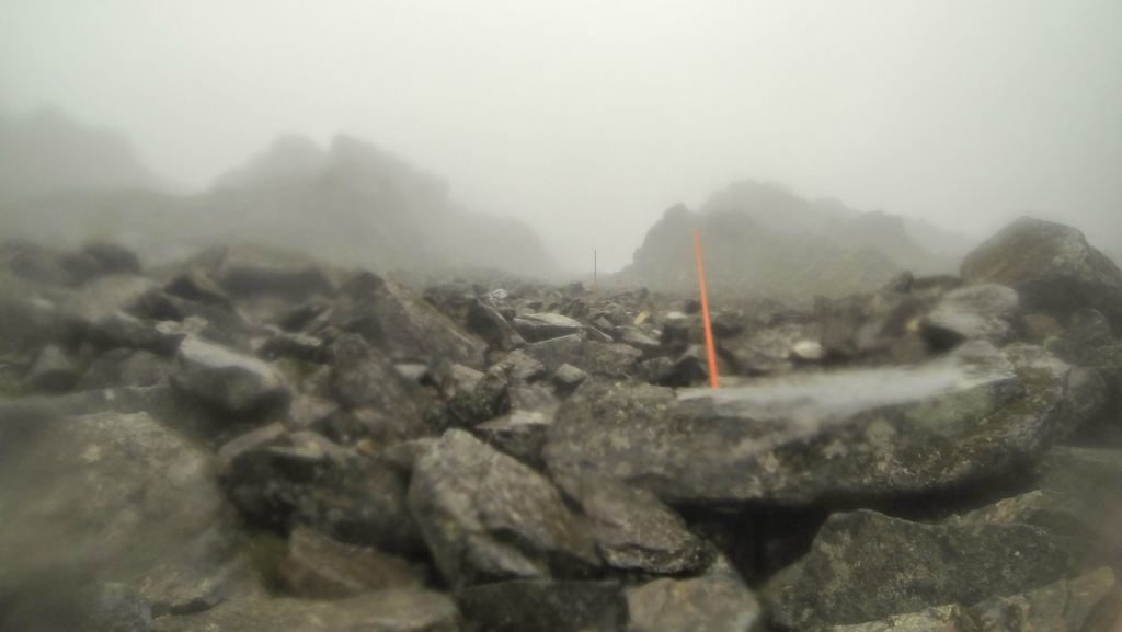 Orange posts mark the route on the Chilkoot Trail
