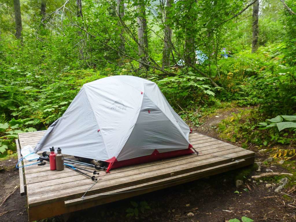 A tent on a wooden platform in a forest