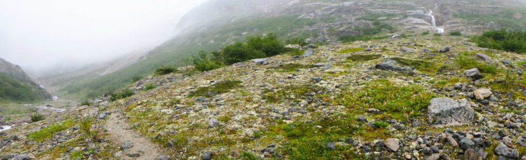 Moss and rocks along the Chilkoot Trail