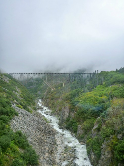 A train bridge spans a river