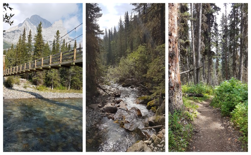 Galatea Creek Trail Hike Kananaskis Country