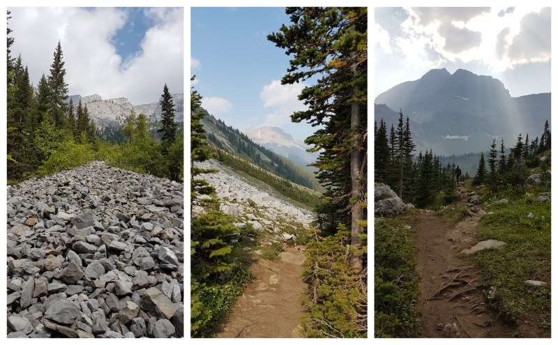 Galatea Creek Trail Hike Kananaskis Country