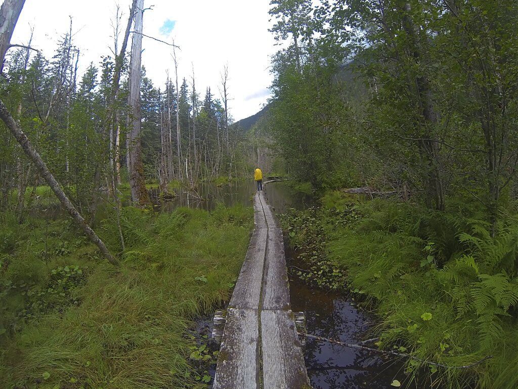 A hiker with a yellow pack walks a boardwalk along the Chilkoot Trail