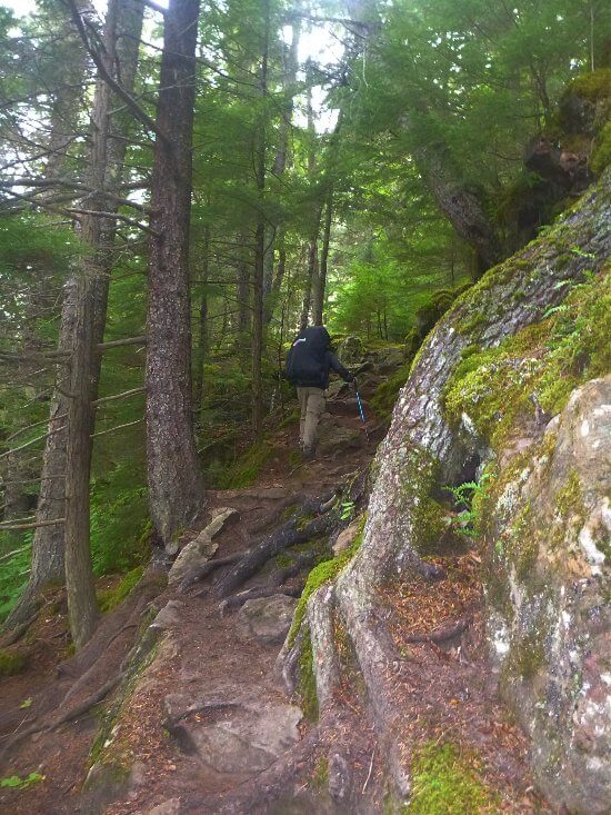 A rocky and rough path along the Chilkoot Trail