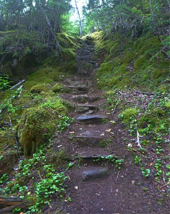 Stone steps lead uphill on the Chilkoot Trail