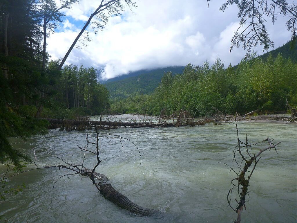 The river Taiga