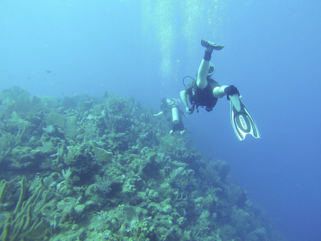 SCUBA Divers along reef in Honduras