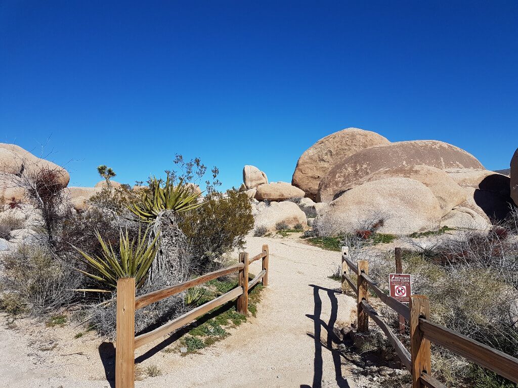 Entrance to the Arch Rock trail in the White Tank campground Joshua Tree National Park