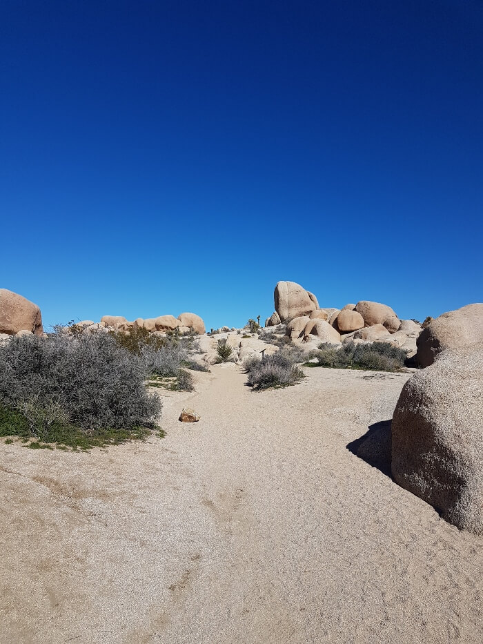 Rock formations along the Arch Rock trail in Joshua Tree National Park