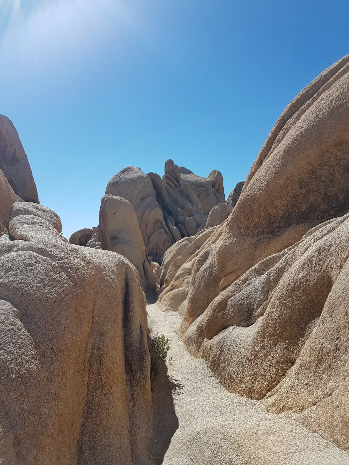 Narrow path leads through rock formations in Joshua Tree National Park