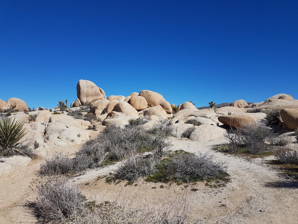 Rock formations in Joshua Tree National Park