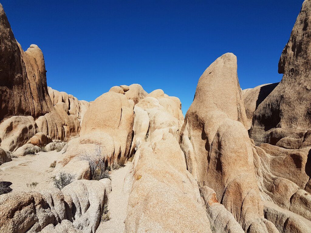 Rock formations in Joshua Tree National Park