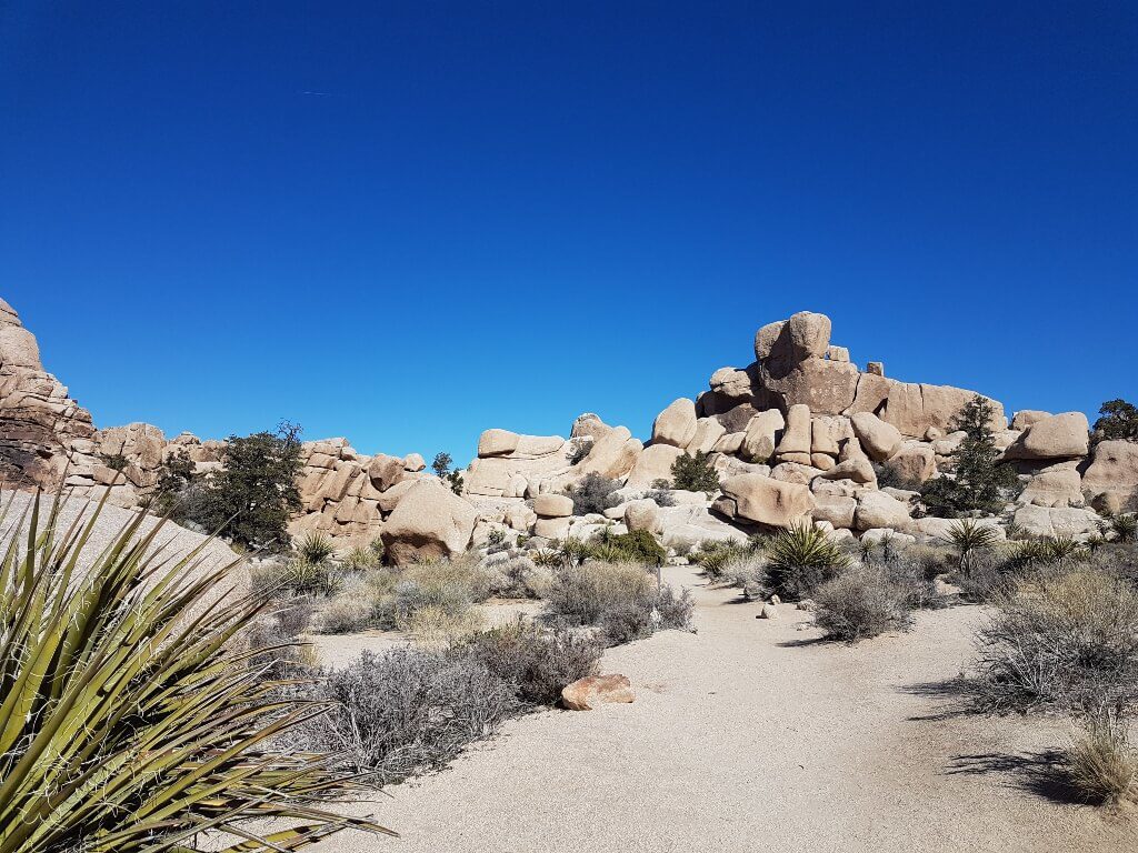 Hidden Valley in Joshua Tree National Park