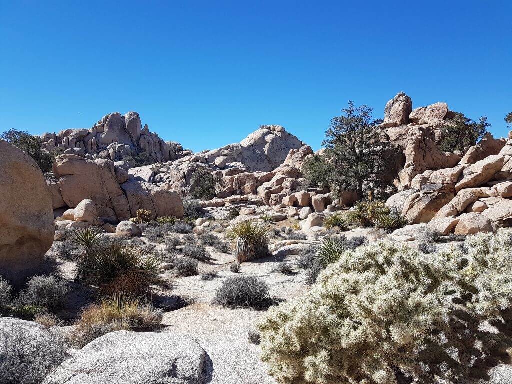 Hidden Valley in Joshua Tree National Park