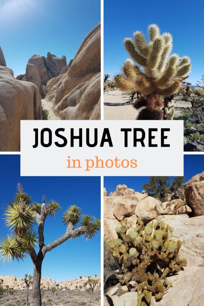 Photo essay of Joshua Tree National Park