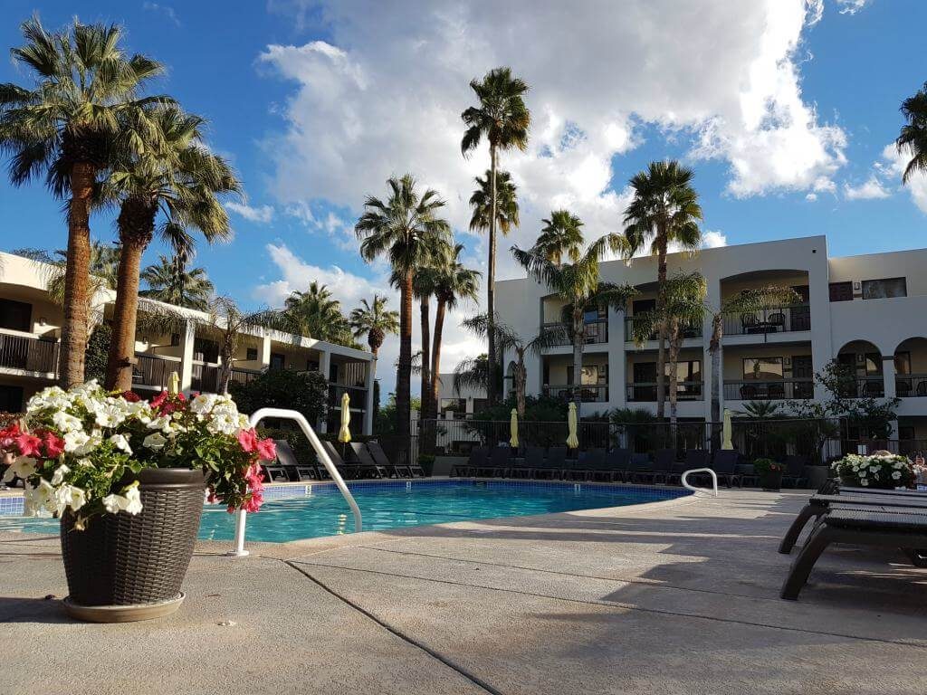 Flowers and palm trees surround the pool at Palm Mountain Resort Palm Springs California
