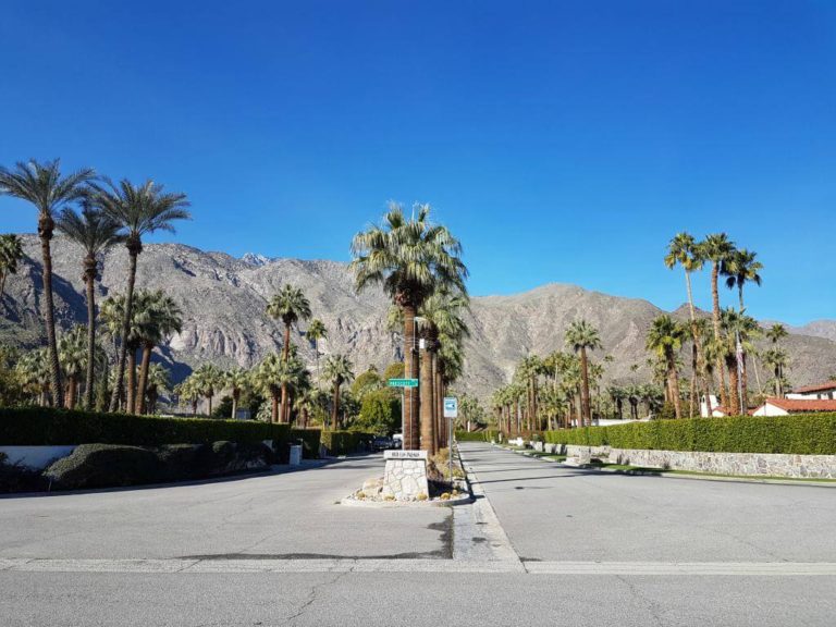 Palm tree lined boulevard with mountains in background in Palm Springs California