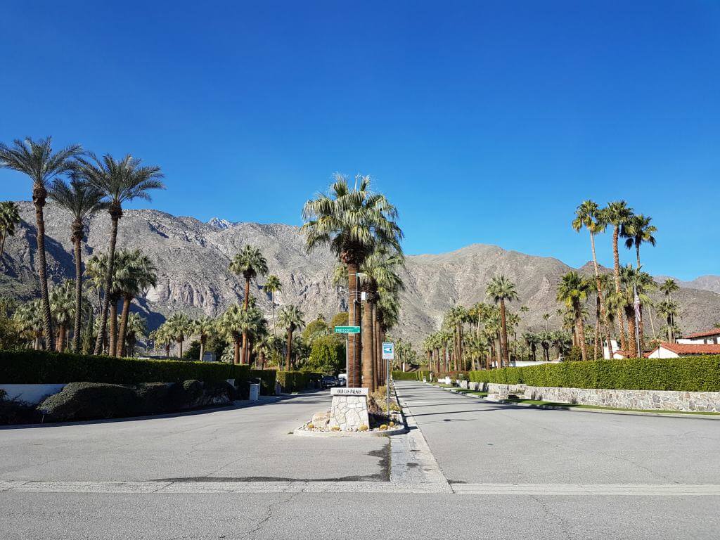 5 Things to Do in Palm Springs, California - An Ordinary Existence