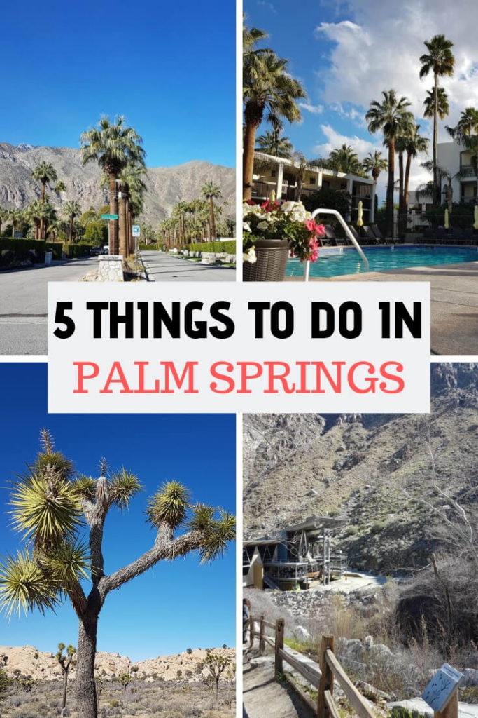 5 Things to do in Palm Springs California