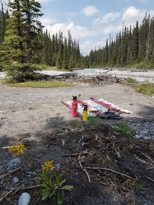 A blanket, books, sandals, water bottle, and bear spray sit on a sandy patch of ground alongside a river surrounded by evergreen forest.