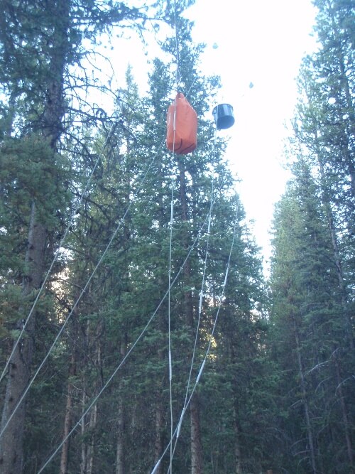 A pot and dry bag hand from a cable system among the trees at a safe hang site
