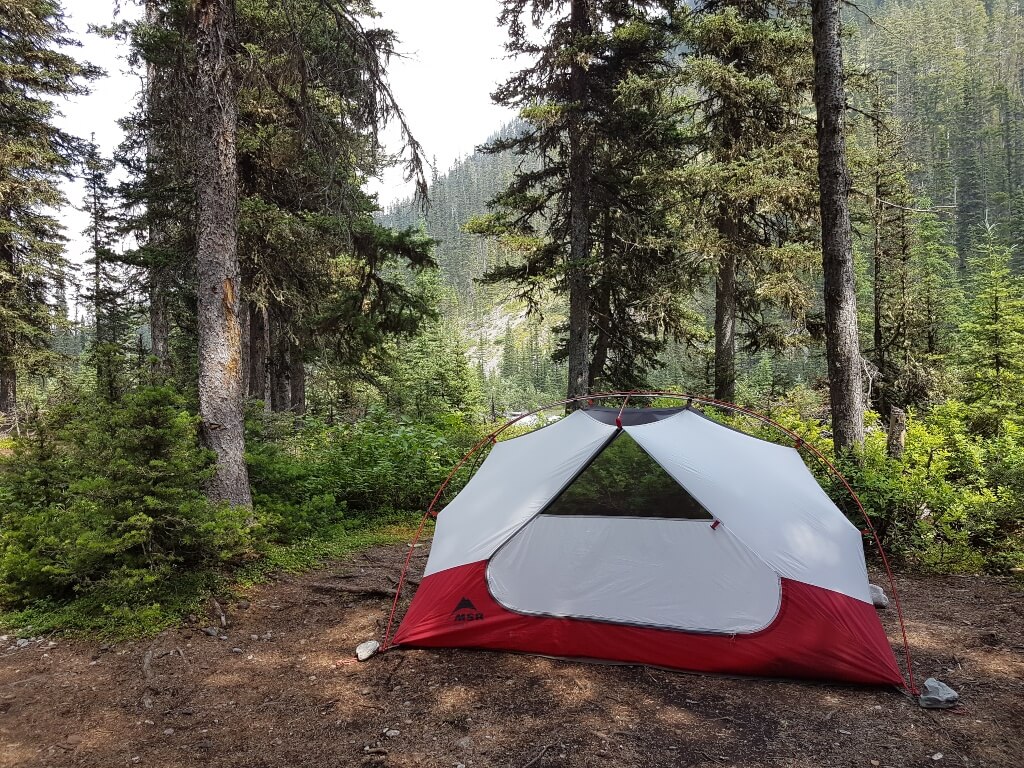 A red and grey tent is pitched in a backcountry campground surrounded by trees