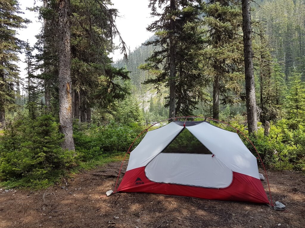 A gray and red tent sits among trees in a forest.