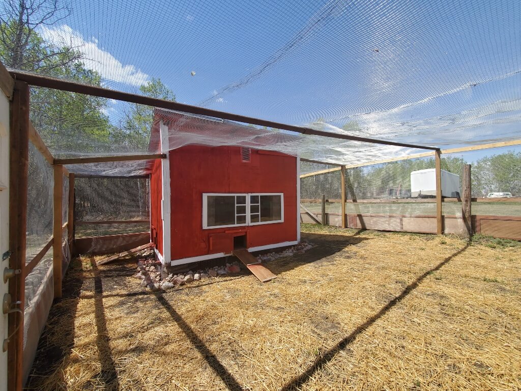 A red and white quail coop is surrounded by a wire mesh aviary