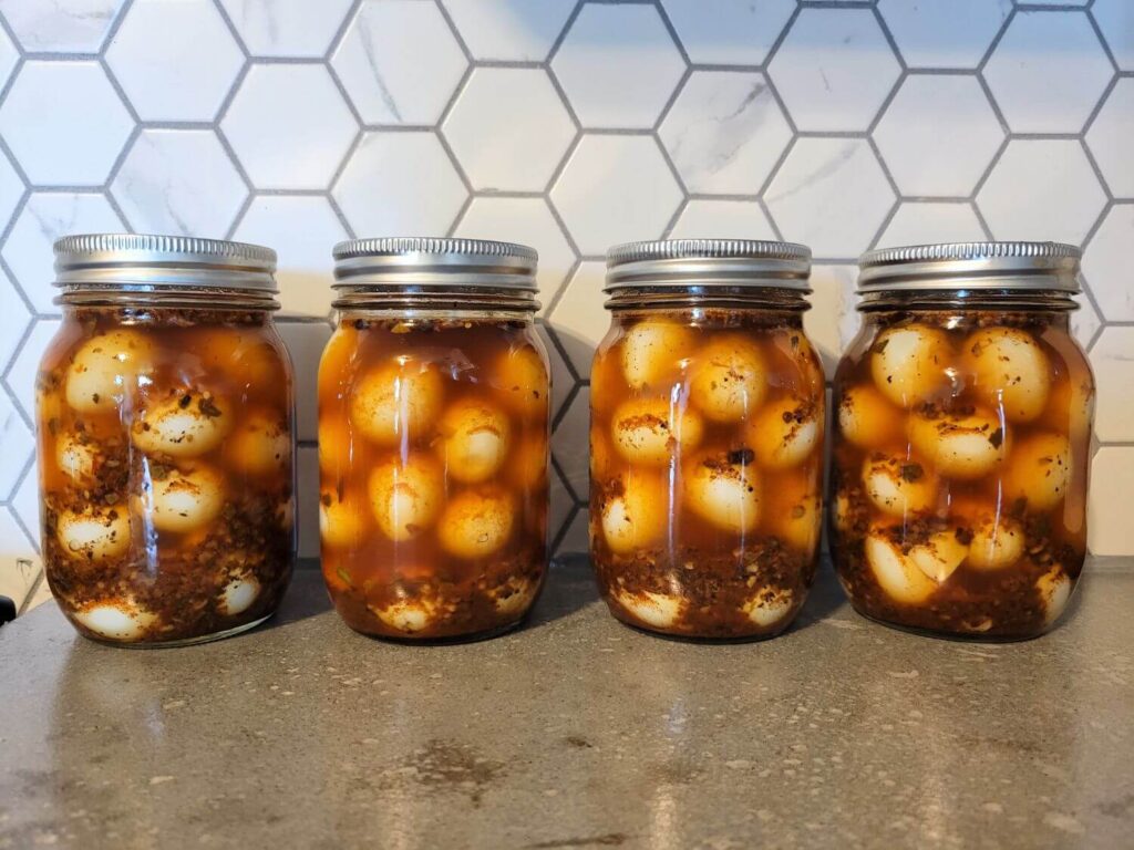 Four jars of pickled quail eggs sit on a counter