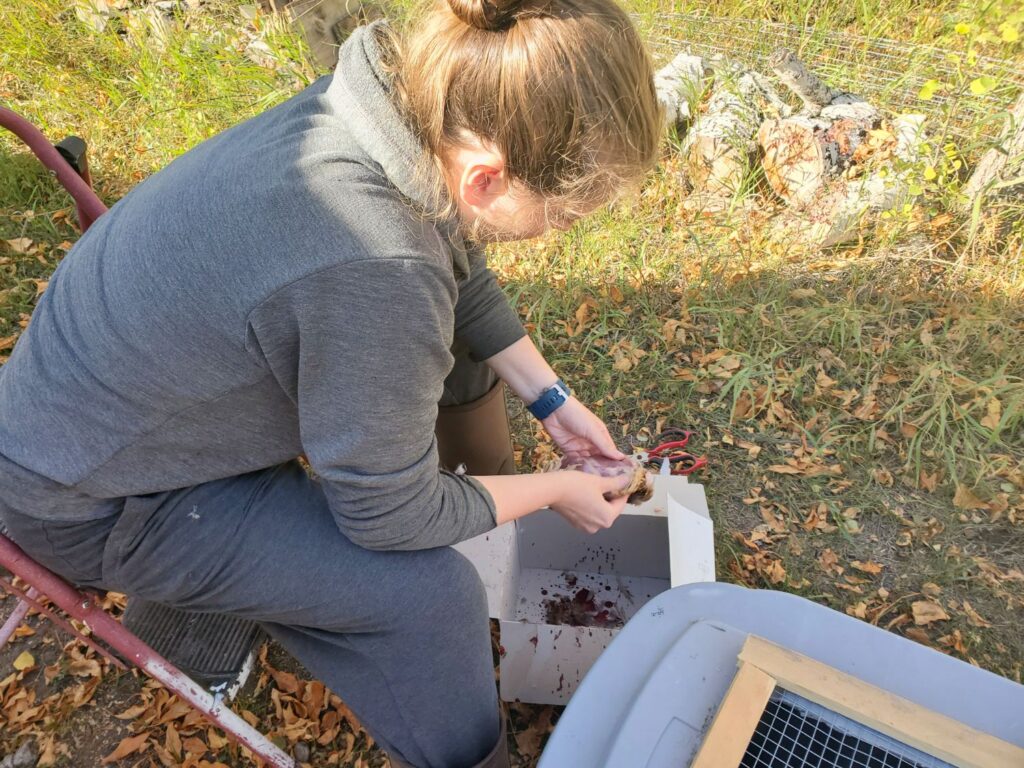 A woman processes a quail.