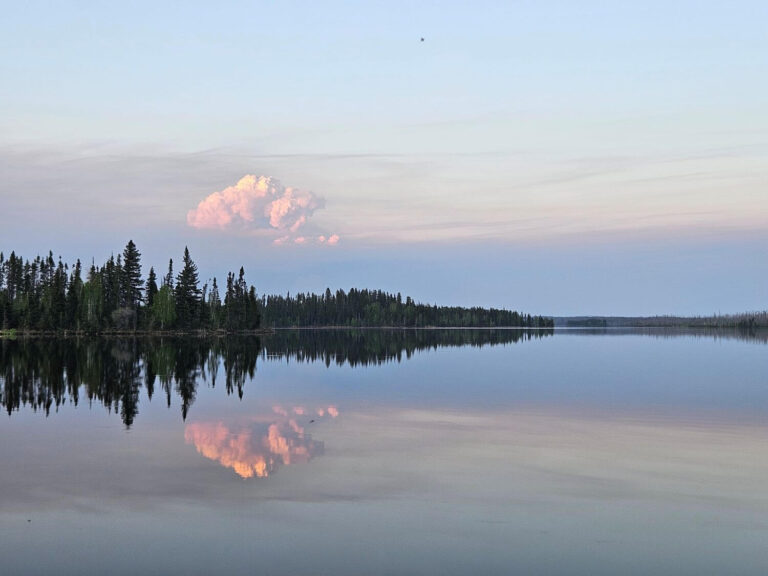 AN UPDATE: WHEN LIFE HAPPENS WHILE YOU’RE MAKING OTHER PLANS