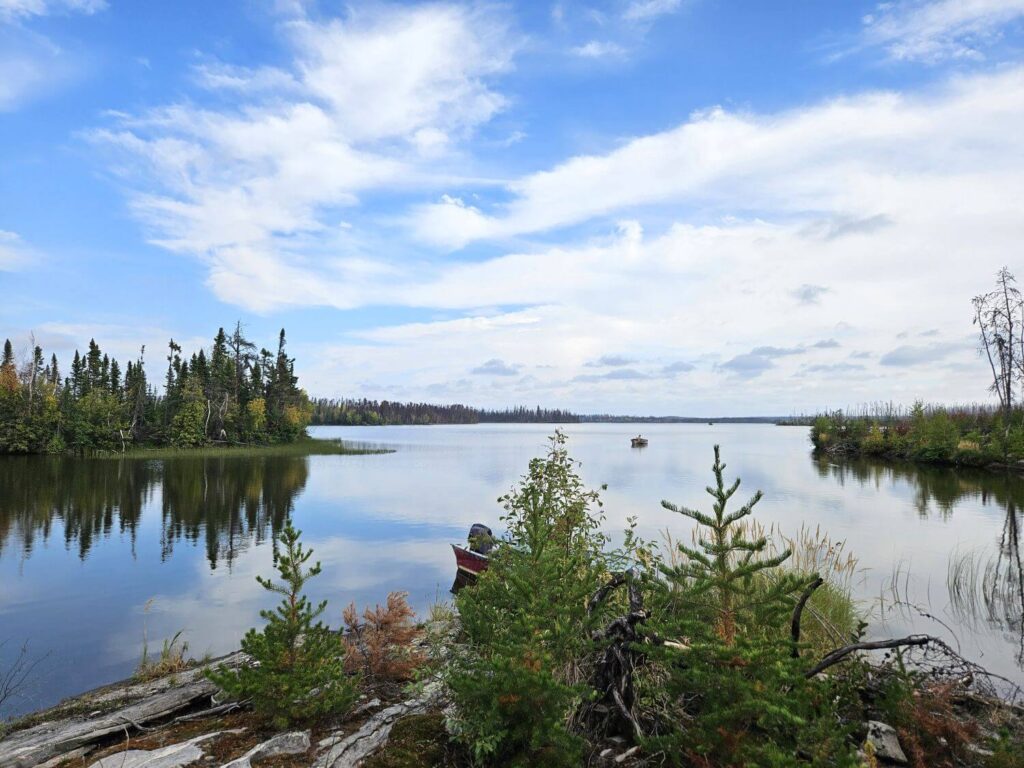 A boat sits along a tree-lined shore with a lake in the background