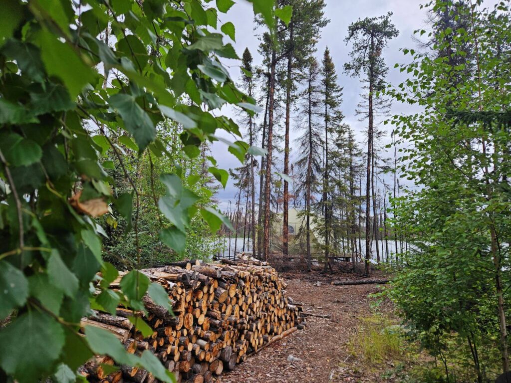 A tent sits behind a pile of firewood